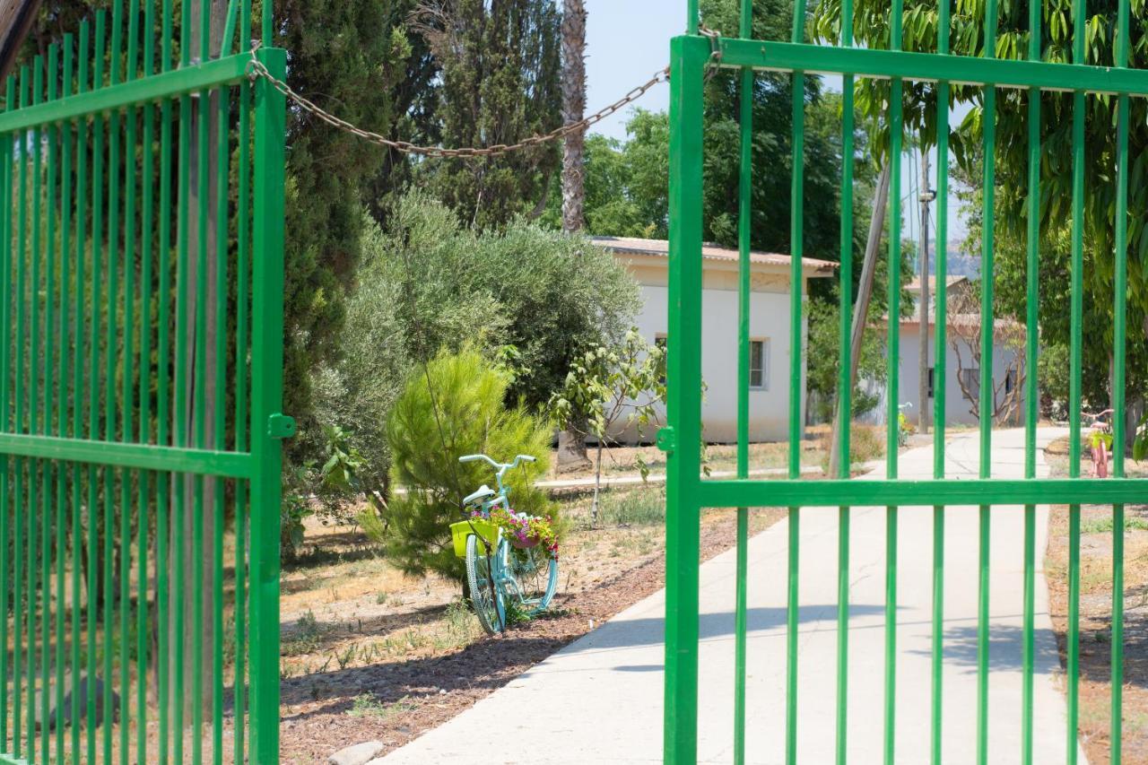 Aliyah Return Center Bed & Breakfast Degania Bet Exterior photo